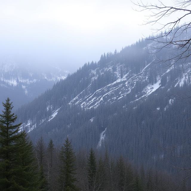 ������, � ������������: �������� ������������